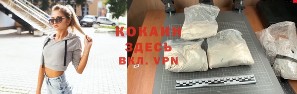 сатива Абаза