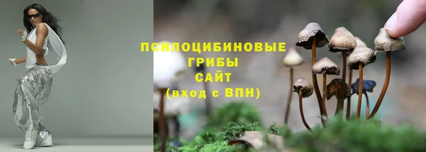 дживик Алексеевка