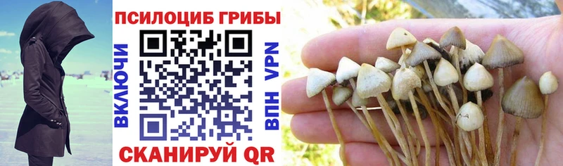 Галлюциногенные грибы мухоморы Опочка